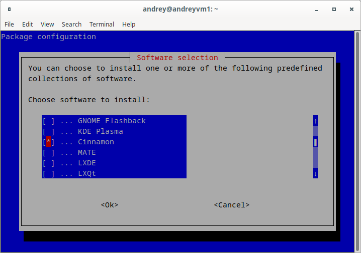 Debian 11 tasksel Cinnamon